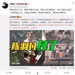 老白爆料刘心艺视频全集,老白爆料视频全集深度解析  第2张
